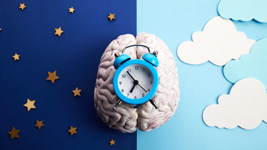 Seu corpo, seu sono e os ciclos circadianos: Se você quer dormir bem, precisa ler isso Image